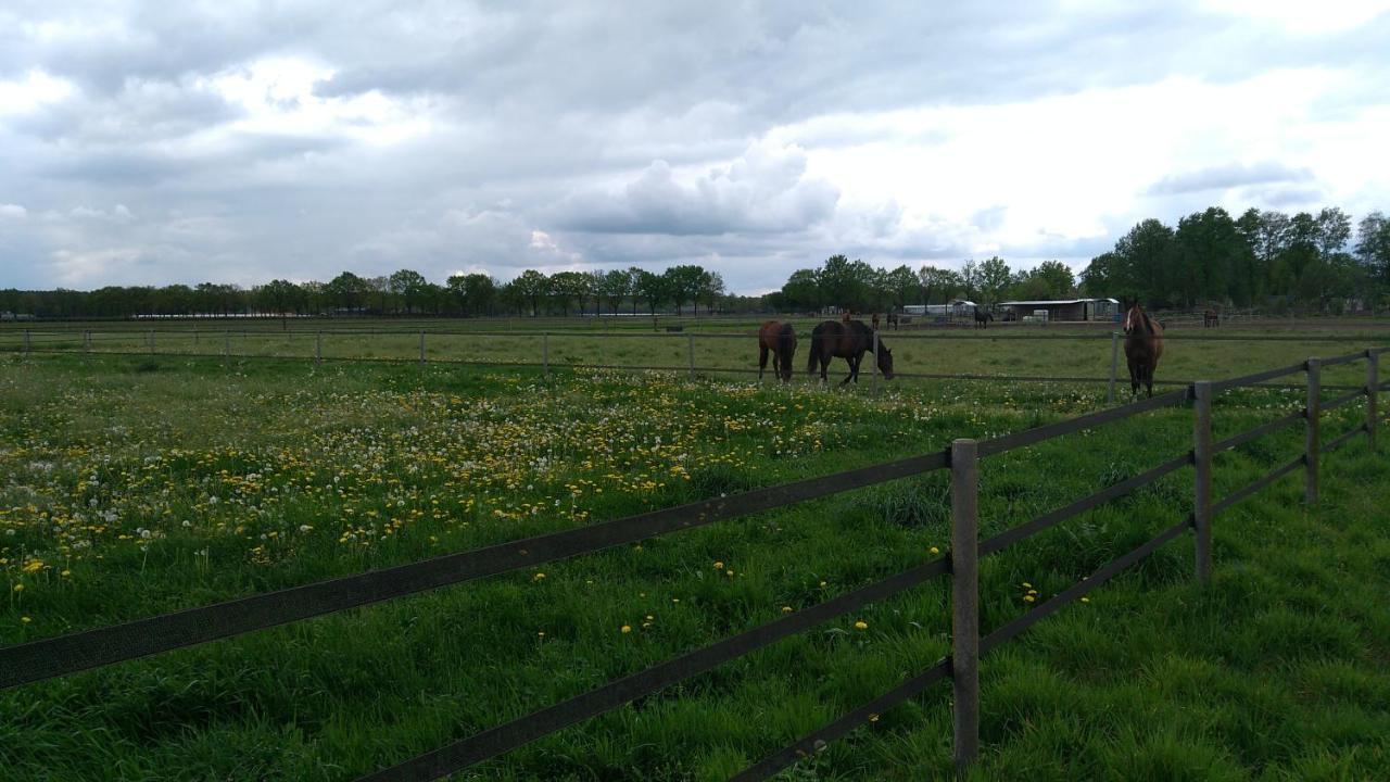 B&B Het Mooie Uitzicht Reuver Esterno foto