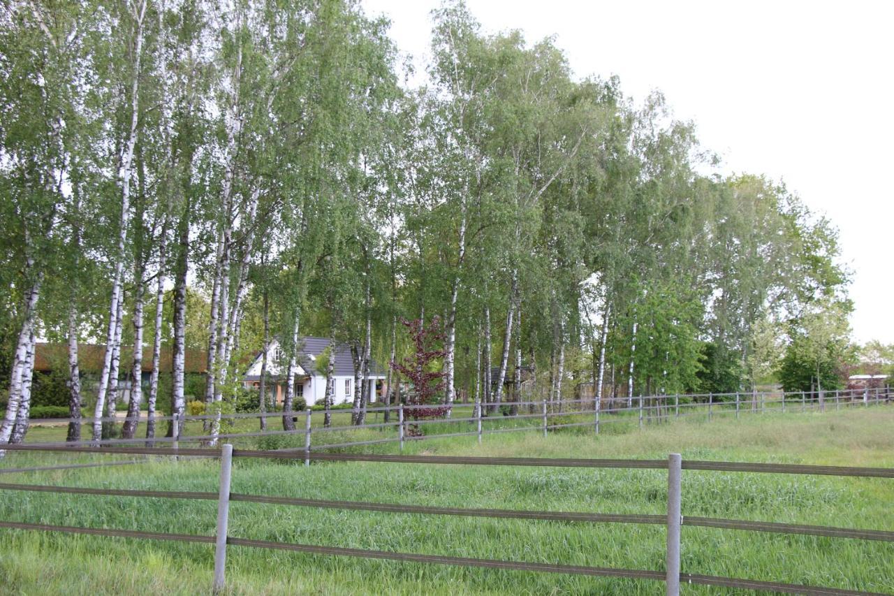 B&B Het Mooie Uitzicht Reuver Esterno foto