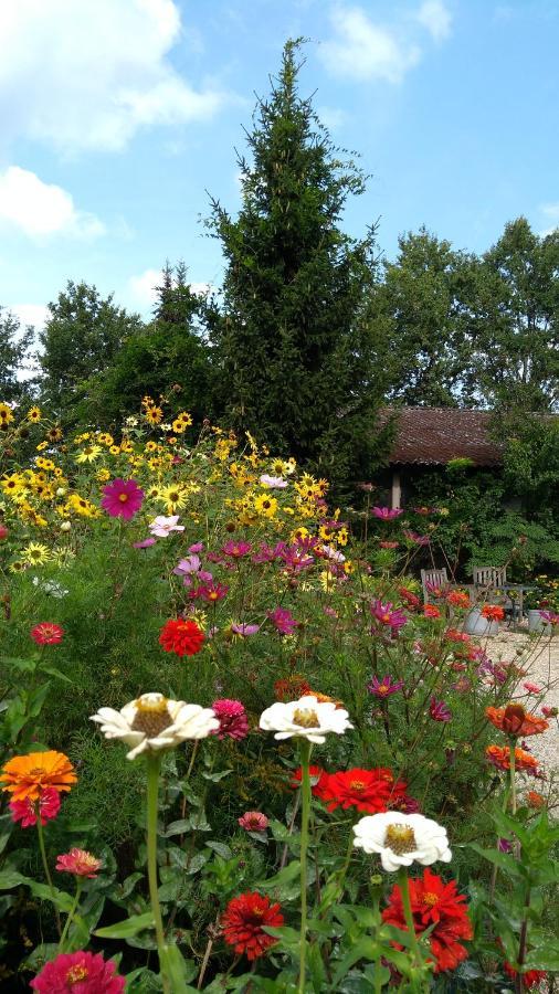 B&B Het Mooie Uitzicht Reuver Esterno foto