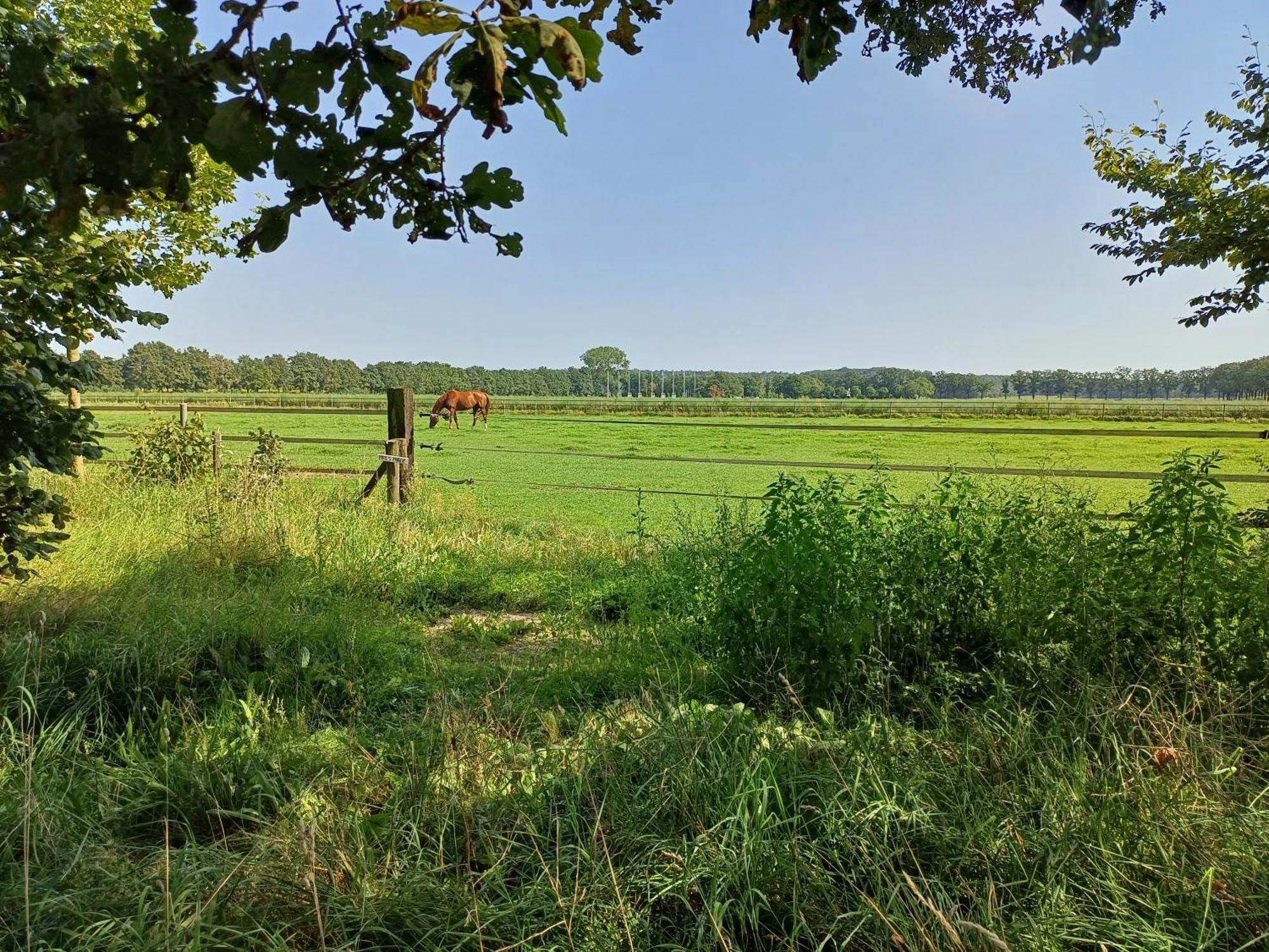 B&B Het Mooie Uitzicht Reuver Esterno foto