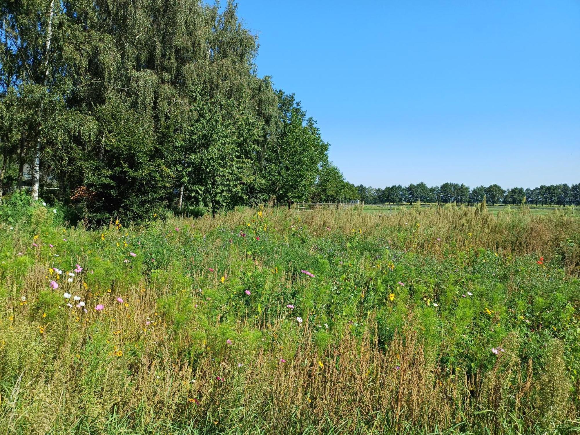 B&B Het Mooie Uitzicht Reuver Esterno foto