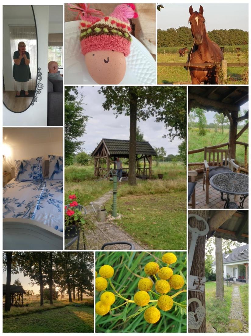 B&B Het Mooie Uitzicht Reuver Esterno foto